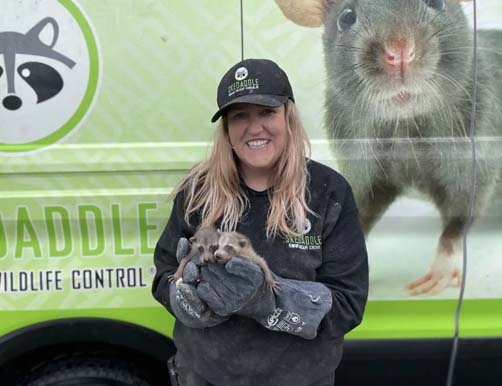 Skedaddle humane wildlife control technician holding baby raccoons in front of truck