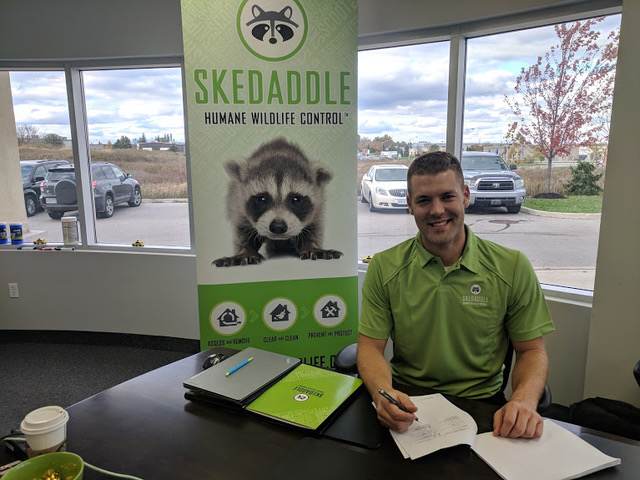 skedaddle humane wildlife control ottawa skedaddle humane wildlife control ottawa