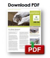 Download_newsletter