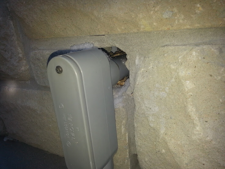 Mice entering this house through an unsealed utility connection
