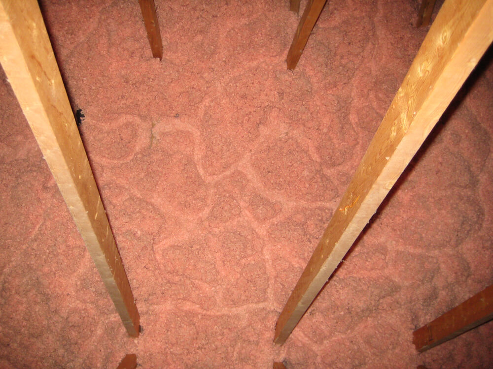 Mice trails through attic insulation