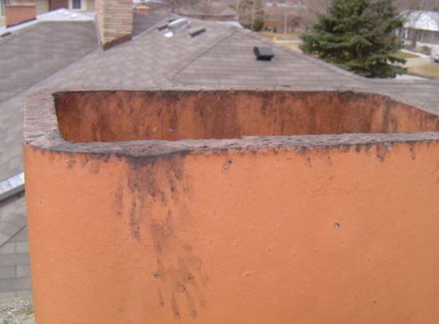 Raccoon prints on a chimney