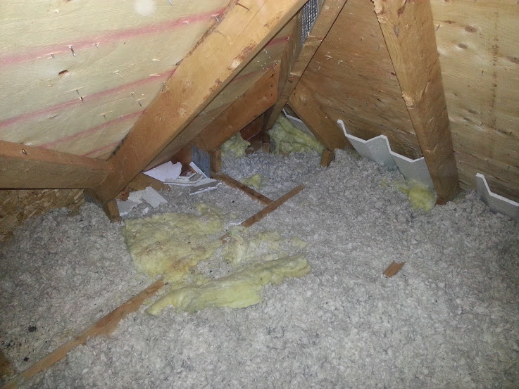 trampled insulation