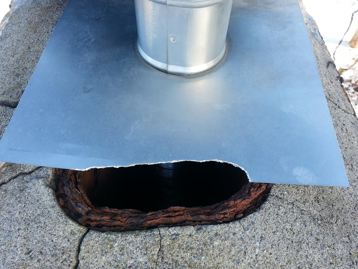 How Do Squirrels Get into Houses Skedaddle