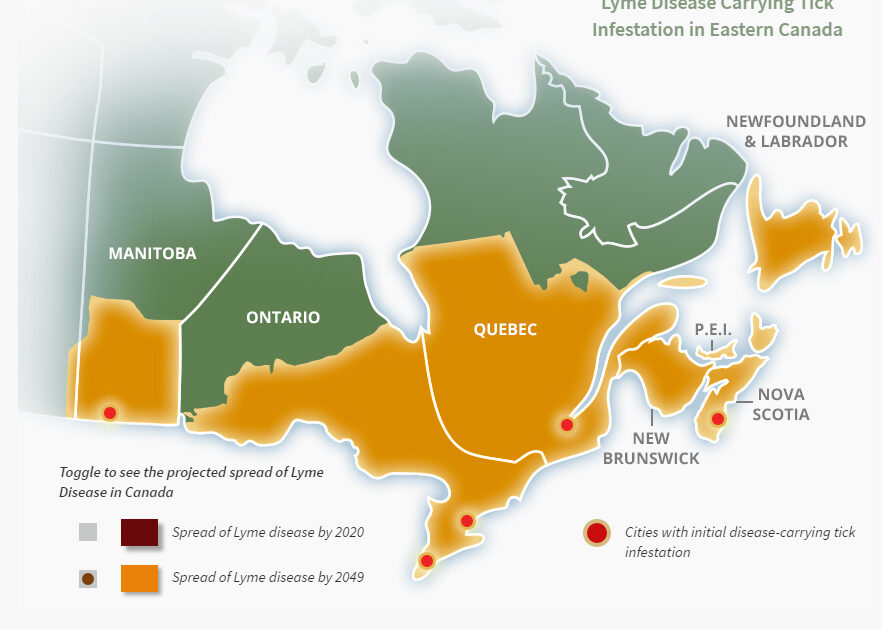 Ticks All Throughout Canada