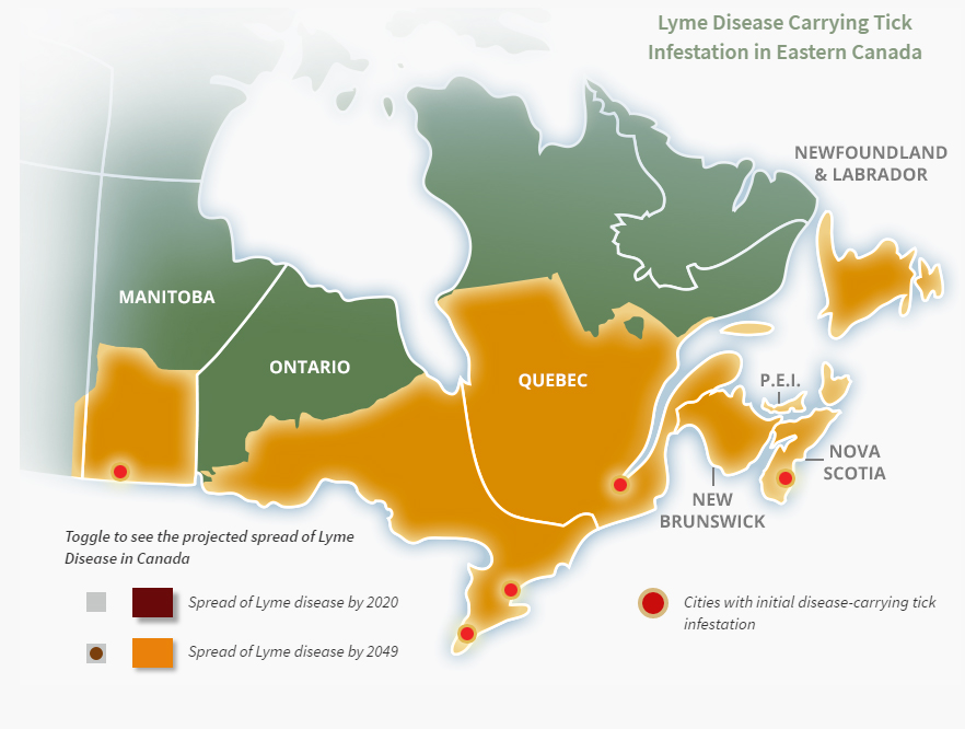 Ticks All Throughout Canada