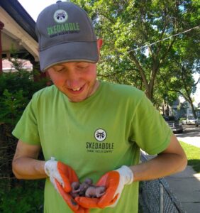 Skedaddle Technician with Squirrel Babies