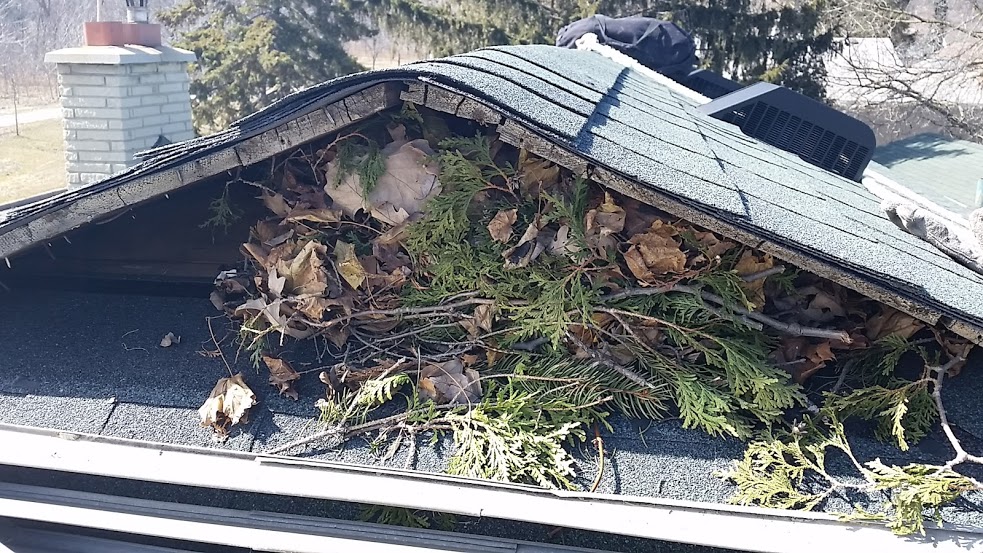 Squirrel nest in gable vent