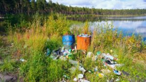 Wetland and Land Pollution