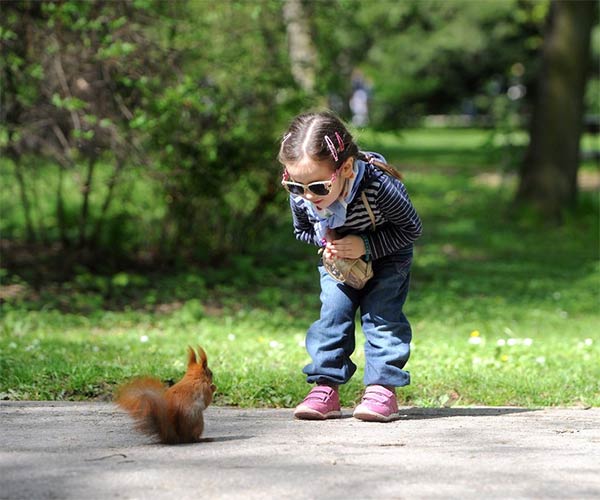 Wildlife on Playground