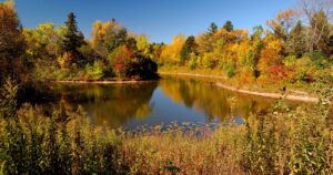 Milwaukee Fall
