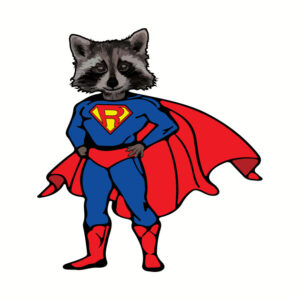 Super Raccoon