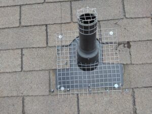 Pipe vent screen