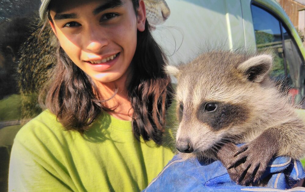 Technician with Baby Raccoon