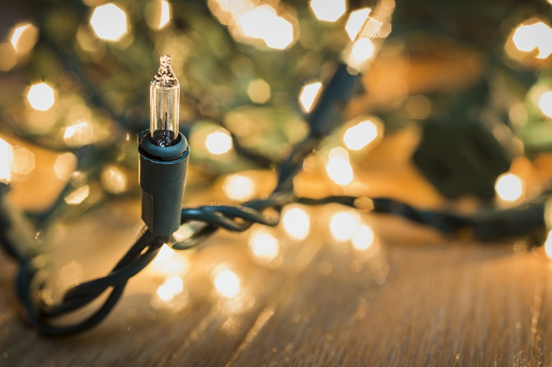 Christmas Decorations Attract Wildlife, Not Just Reindeer!