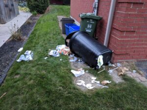 Damaged Garbage Bins