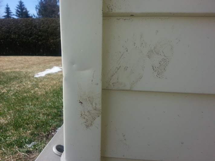 Tips to Help You Identify a Raccoon Track.