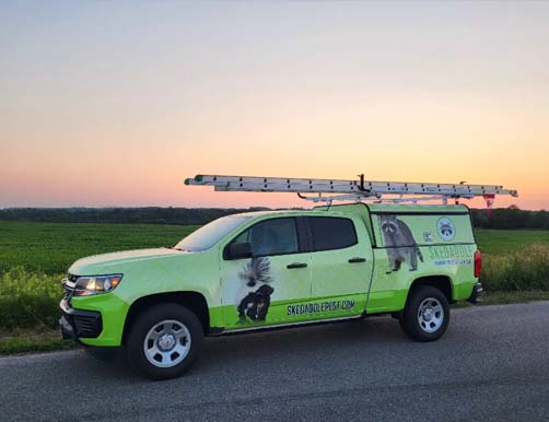 Skedaddle humane wildlife control Truck