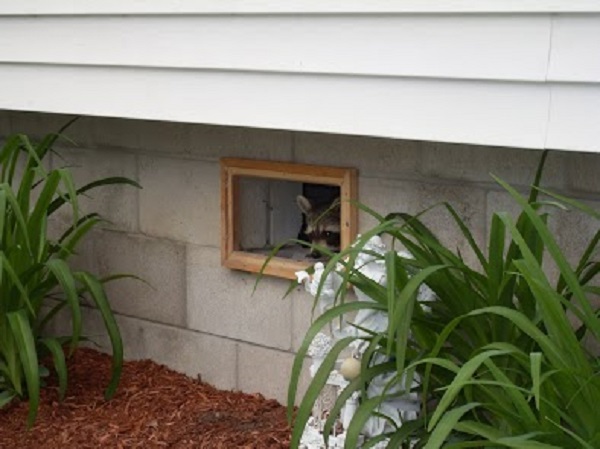 Wildlife Control Hamilton