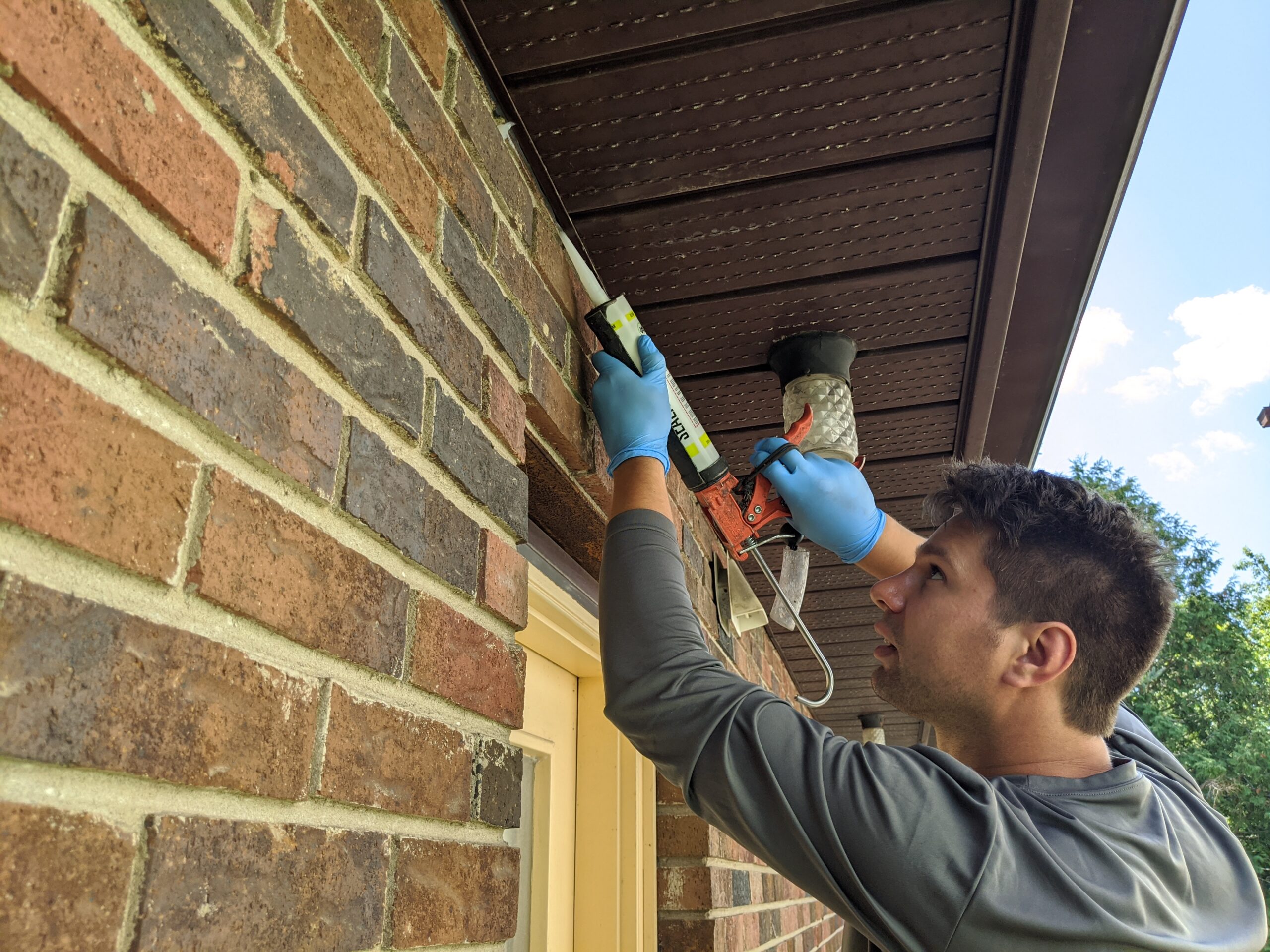 Mice Removal Milwaukee