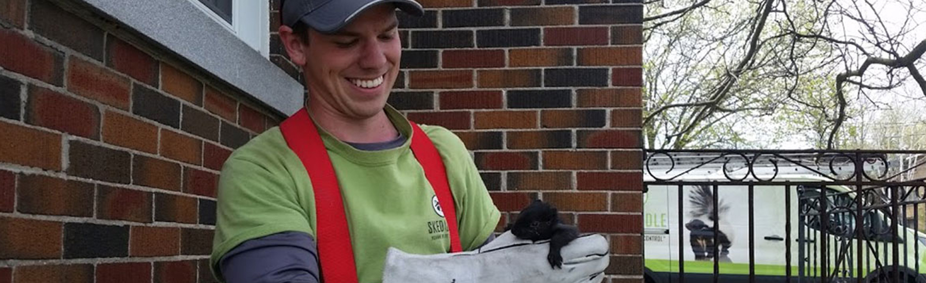 10 Interesting Facts About Baby Raccoons - Banner