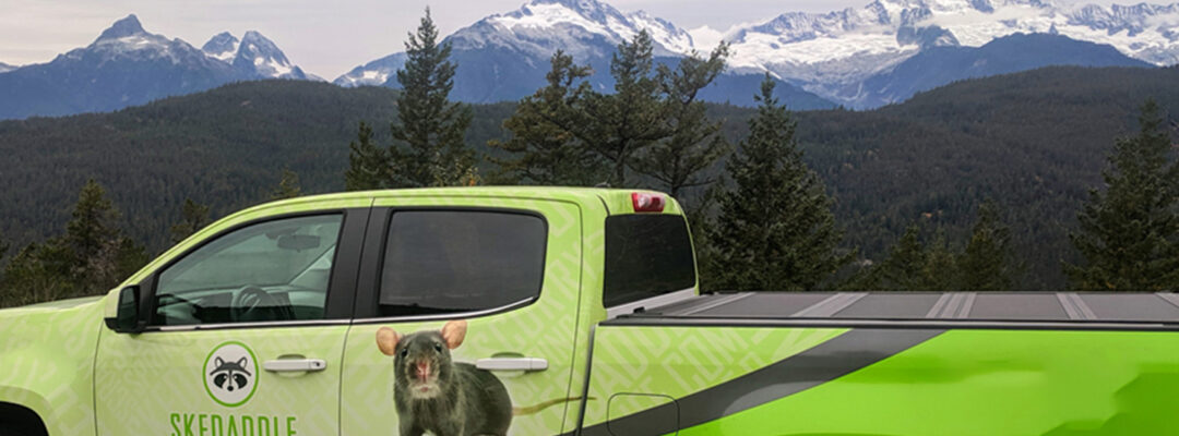 Vancouver PPC Wildlife Control 1080 x 550