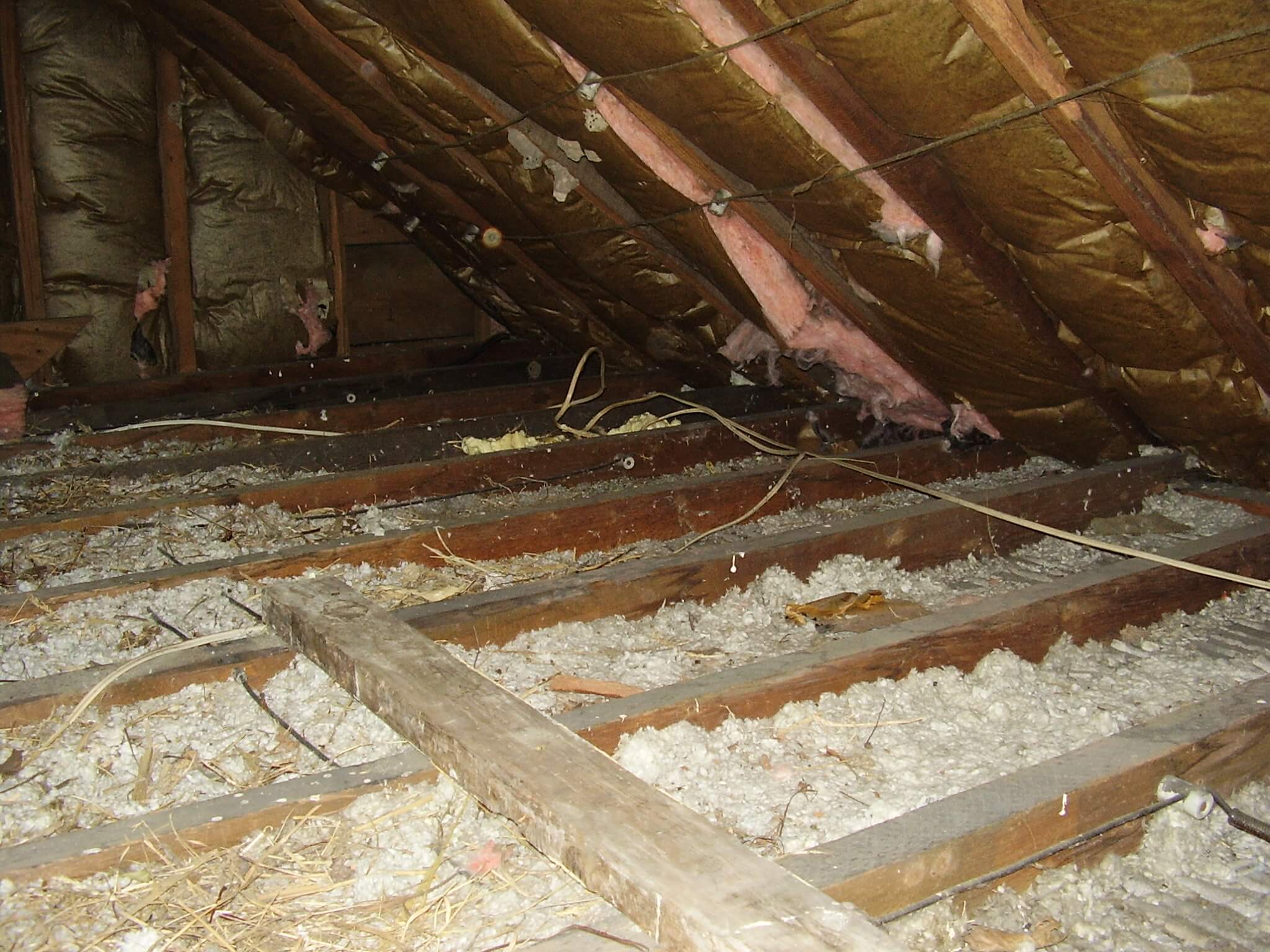 Wildlife Control Milwaukee