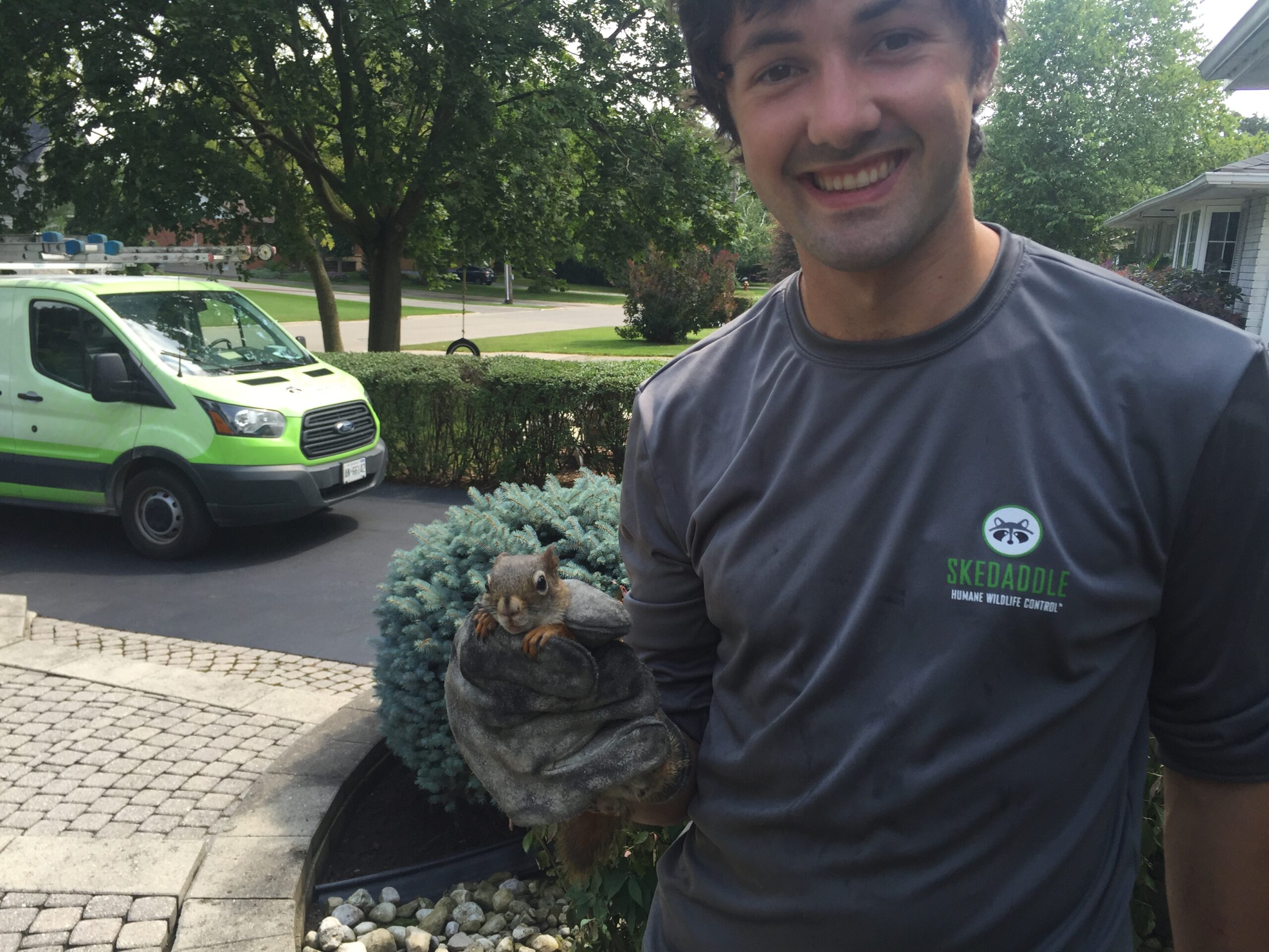 Squirrel Removal York Region