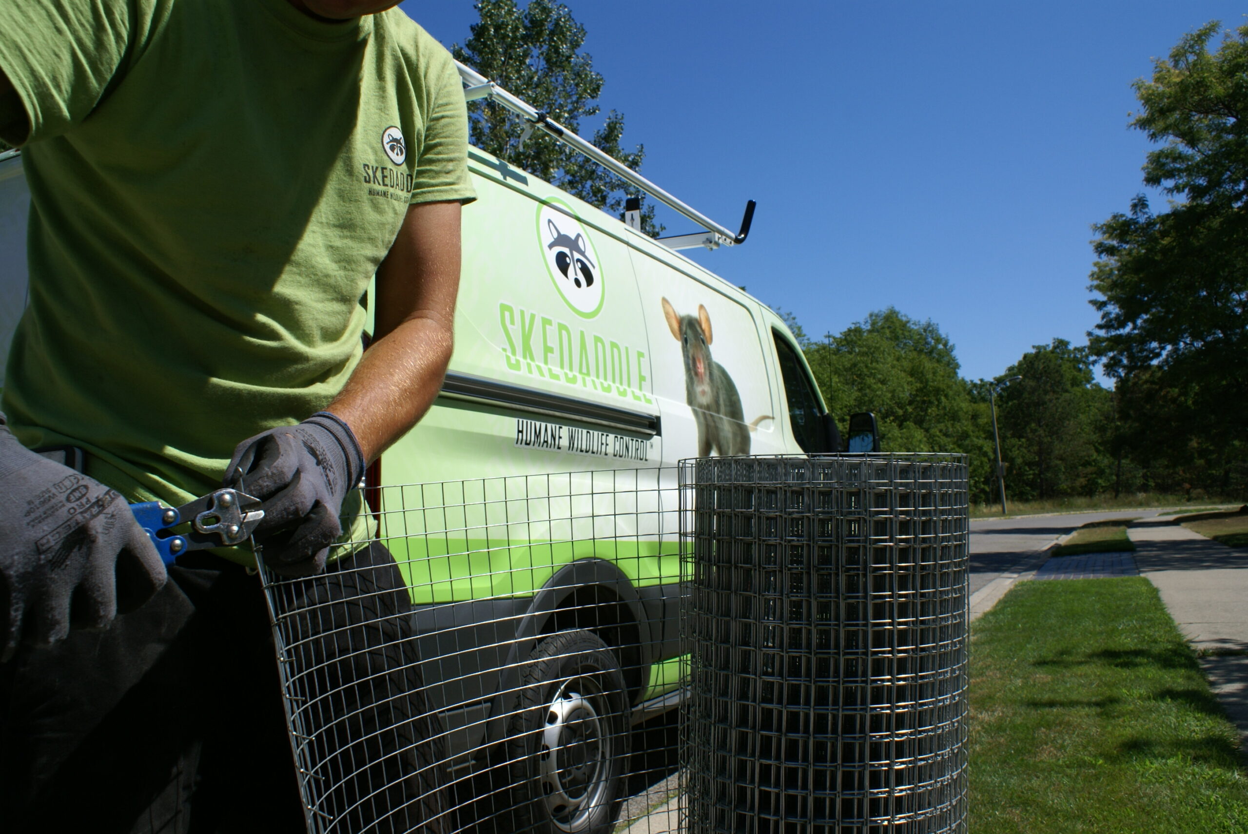 Wildlife Control