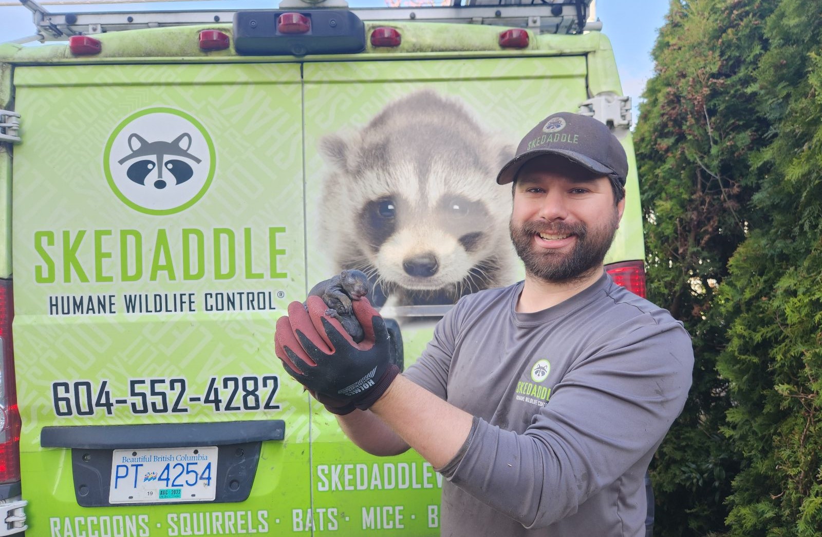 Coquitlam Squirrel Baby Skedaddle humane wildlife control April 2025 2