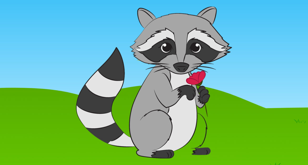 Raccoon Removal Okanagan