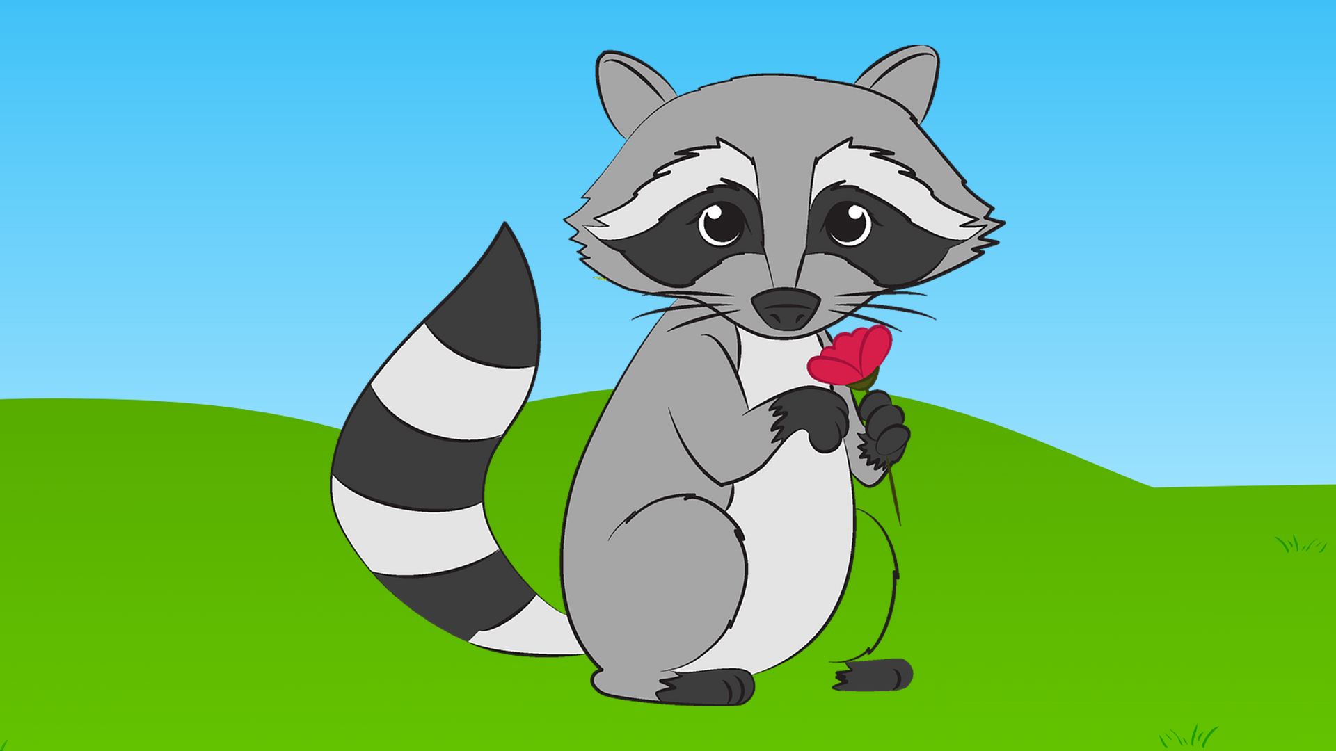 Raccoon Removal Okanagan