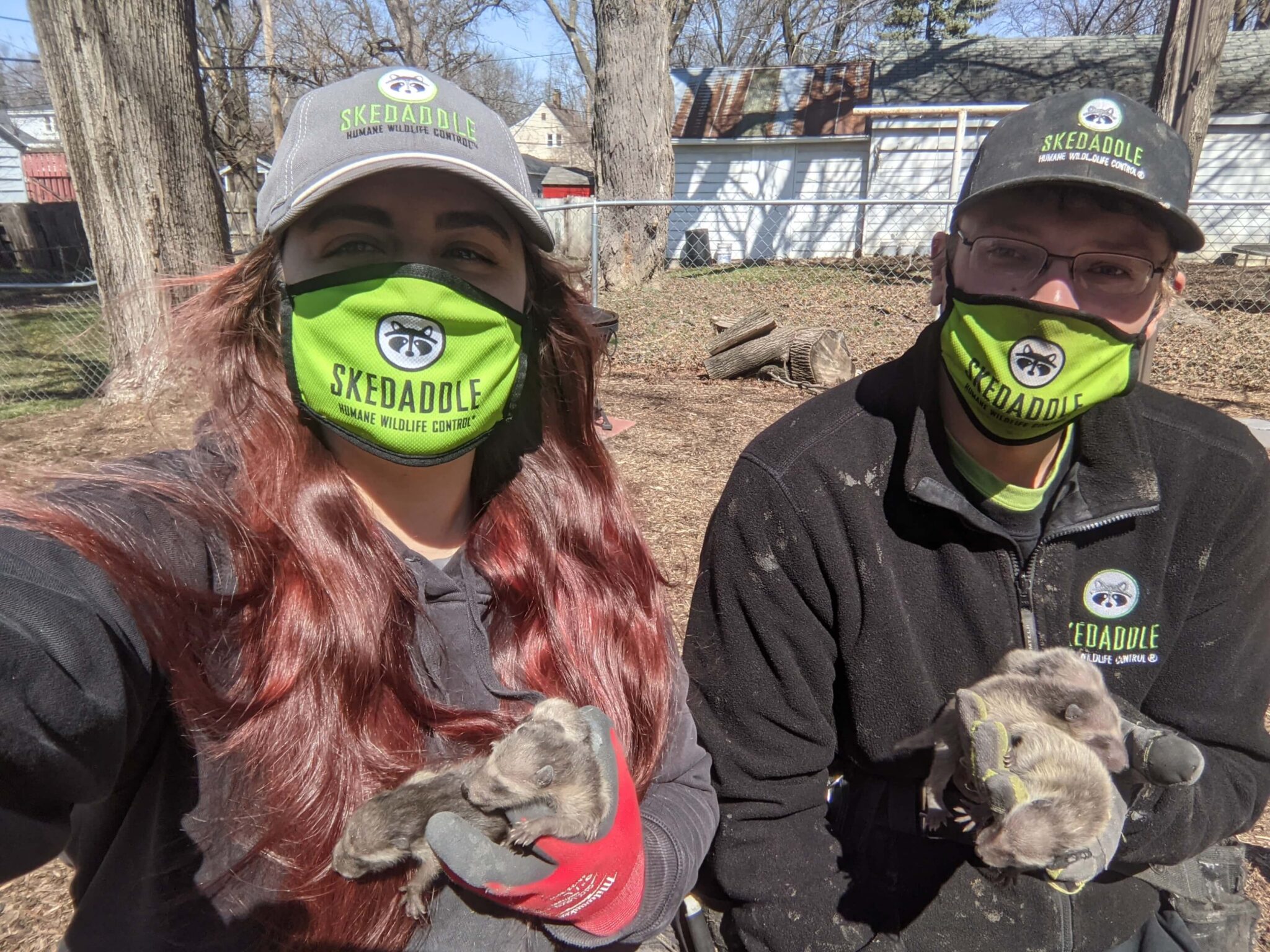 Proper Wildlife Removal and Prevention: A Worthy Investment
