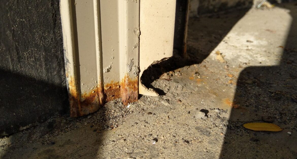 Mice Removal Oshawa