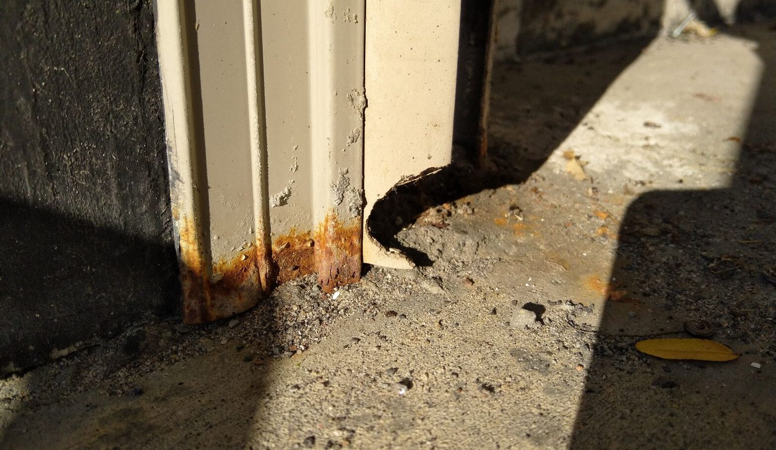Mice Removal Oshawa