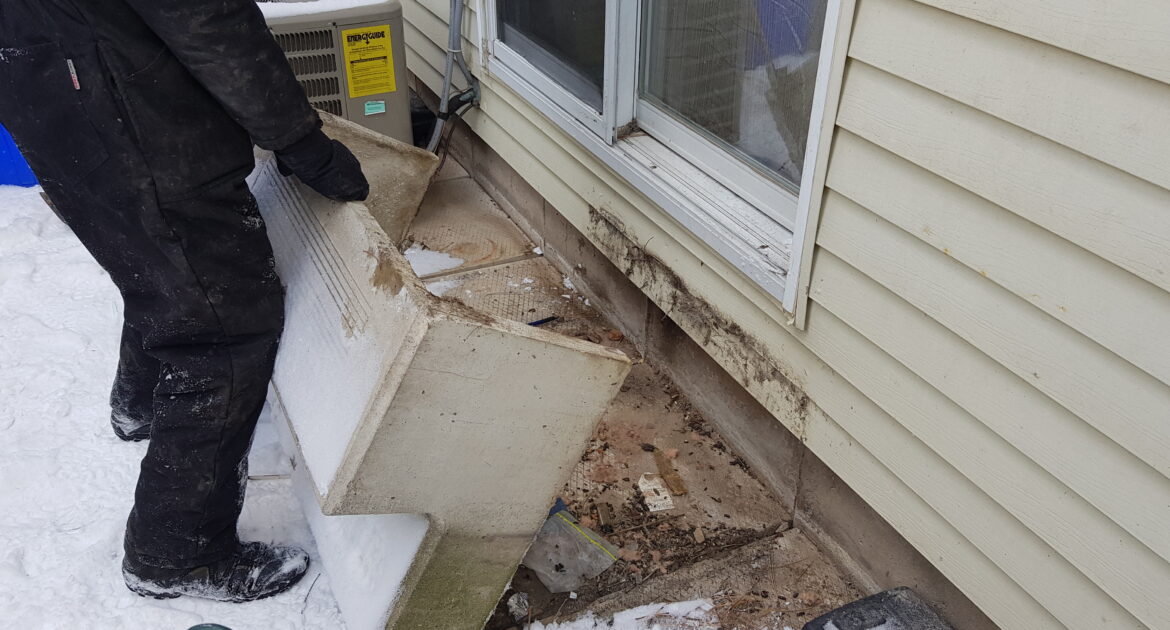 Mice Removal Vaughan