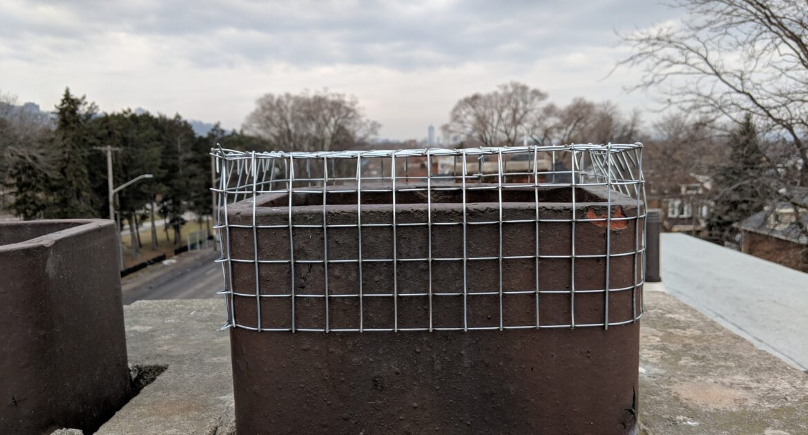 Wildlife Removal Ajax