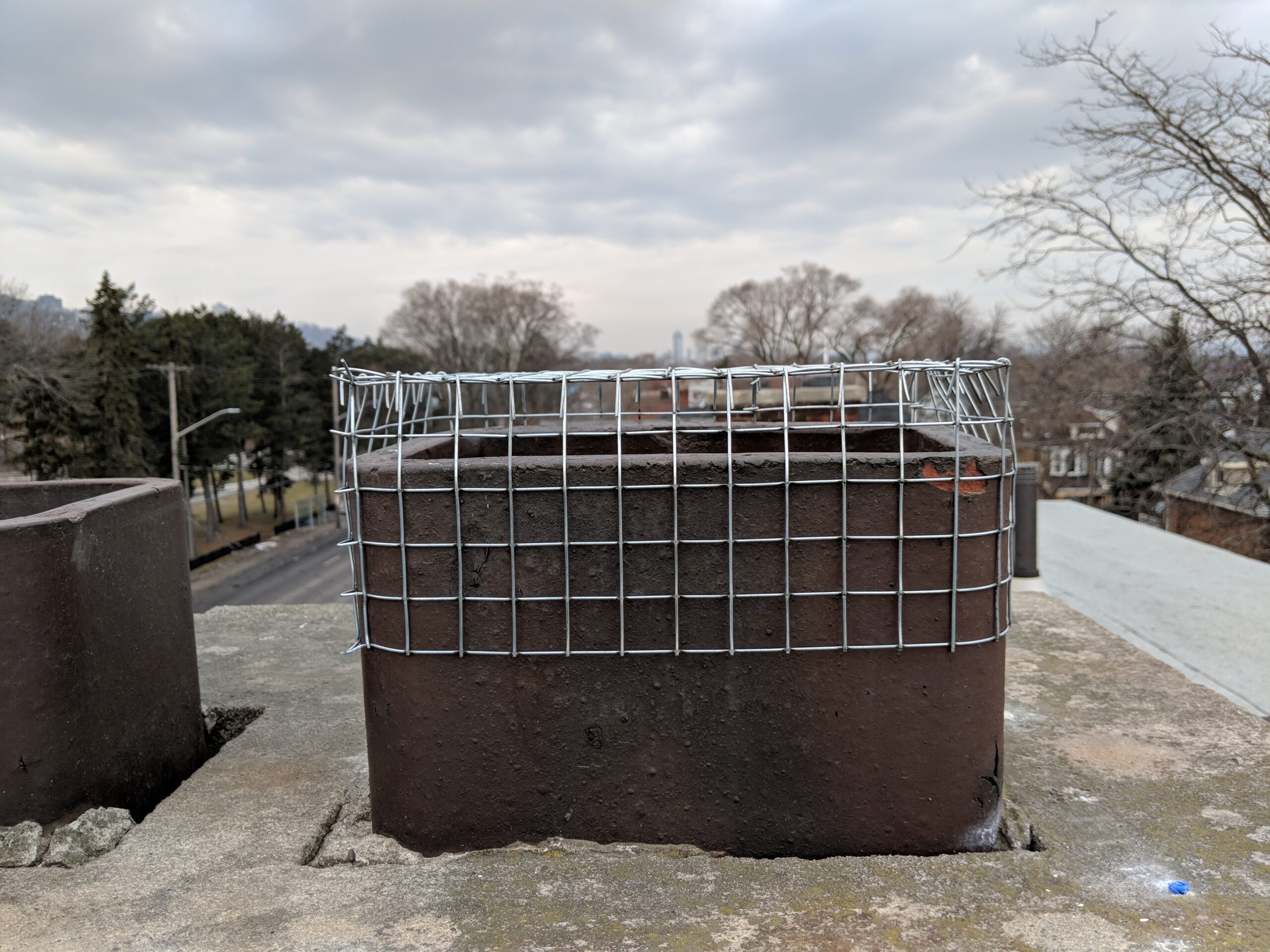 Wildlife Removal Ajax
