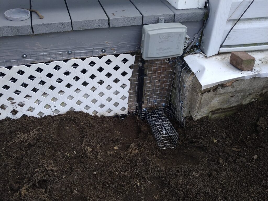 Wildlife Removal Oakville