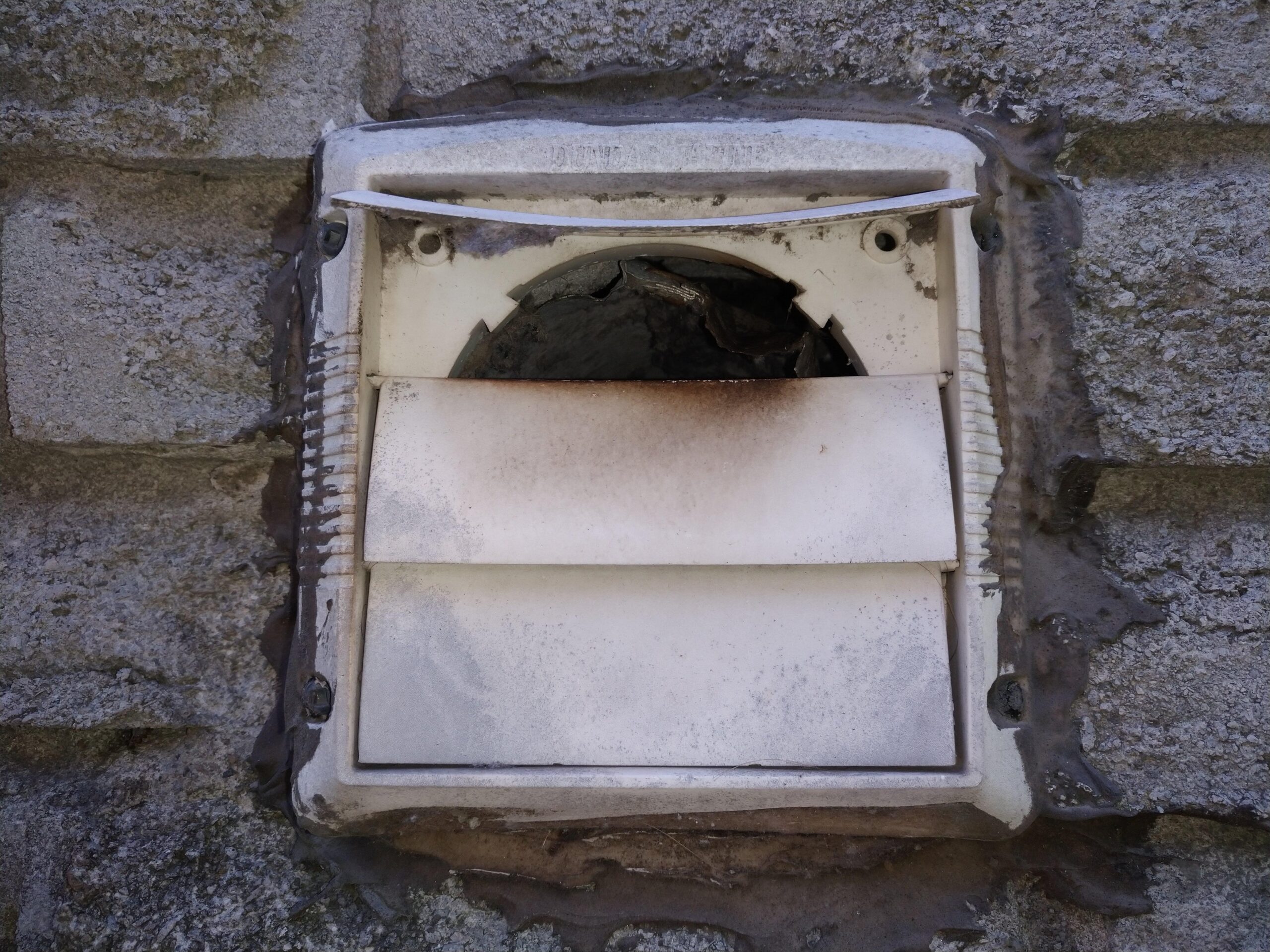 Wildlife Removal Coquitlam