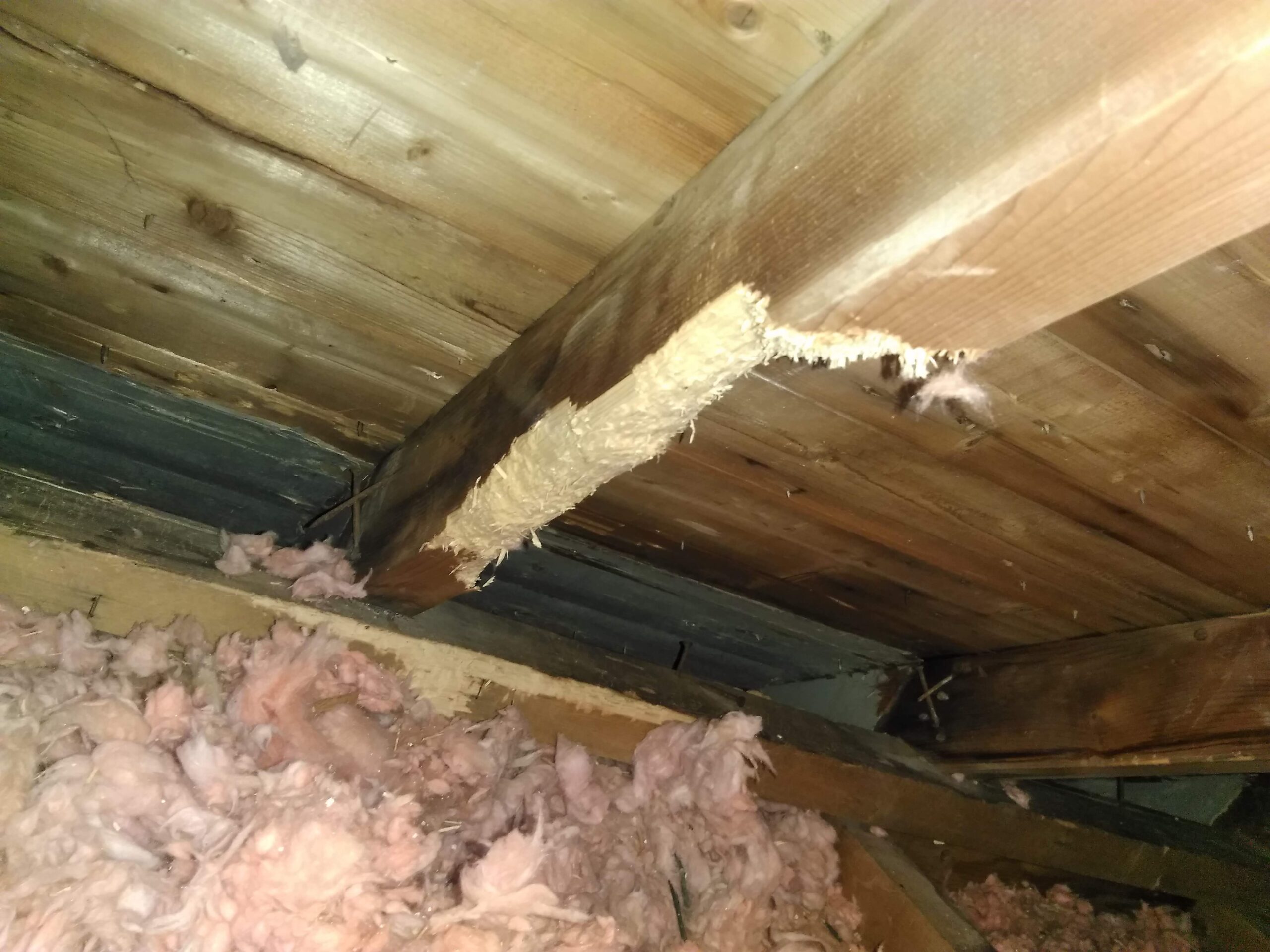 squirrel-damage-attic-wires-and-insulation