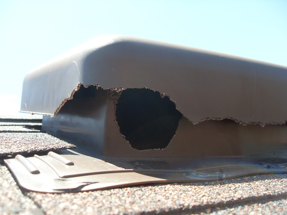 squirrel-damage-attic-wires-and-insulation