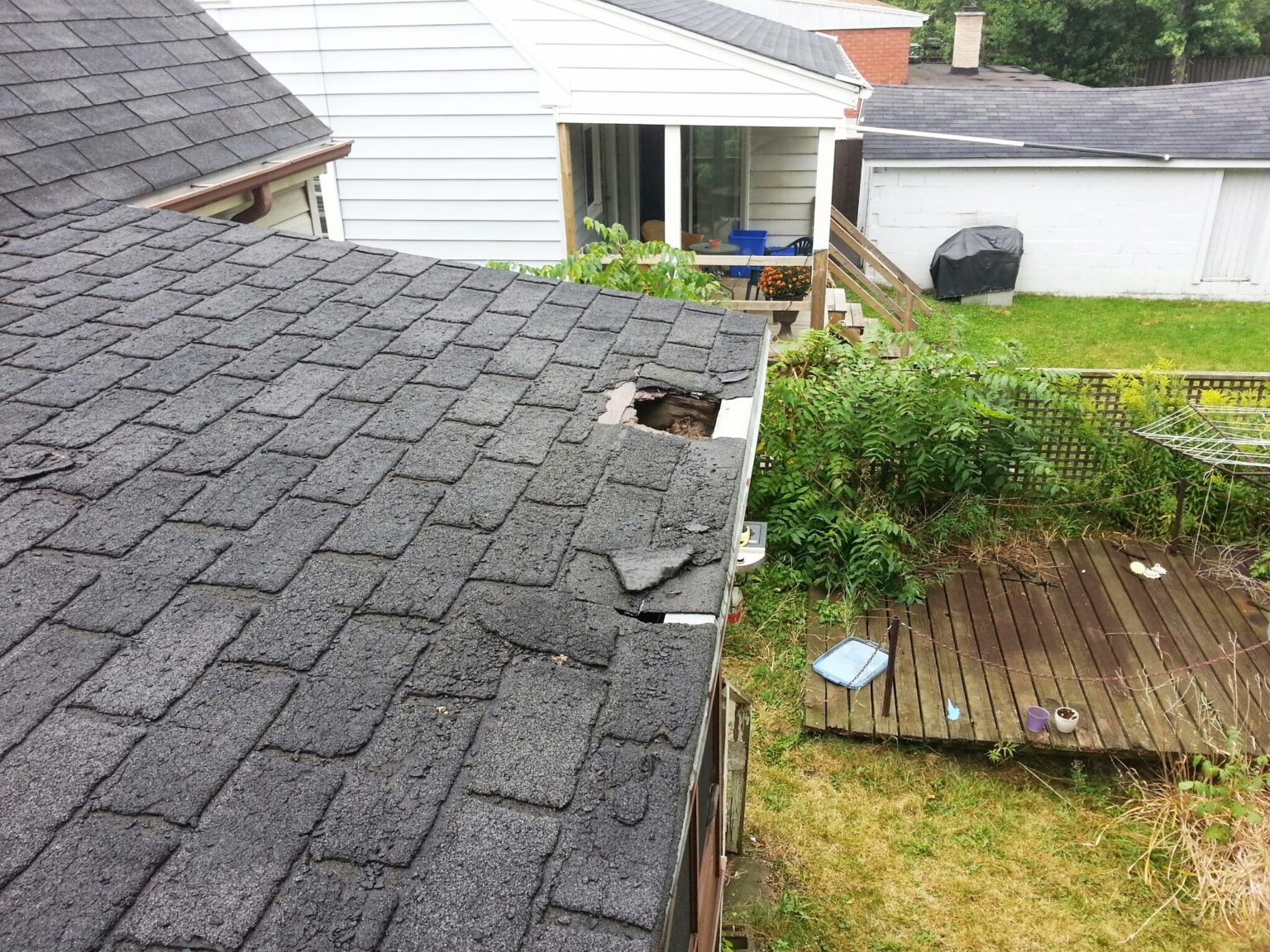 How Raccoons Get Into Houses? Skedaddle Wildlife Control