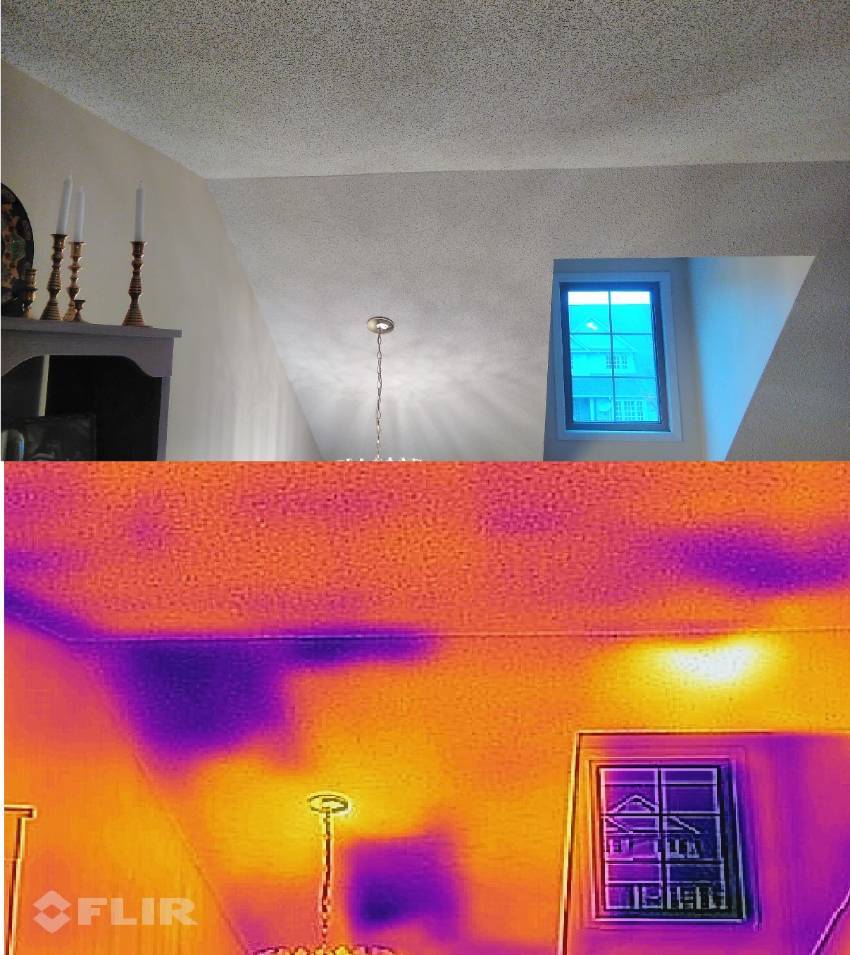 thermal imaging shows where raccoons are present above the ceiling inside the attic