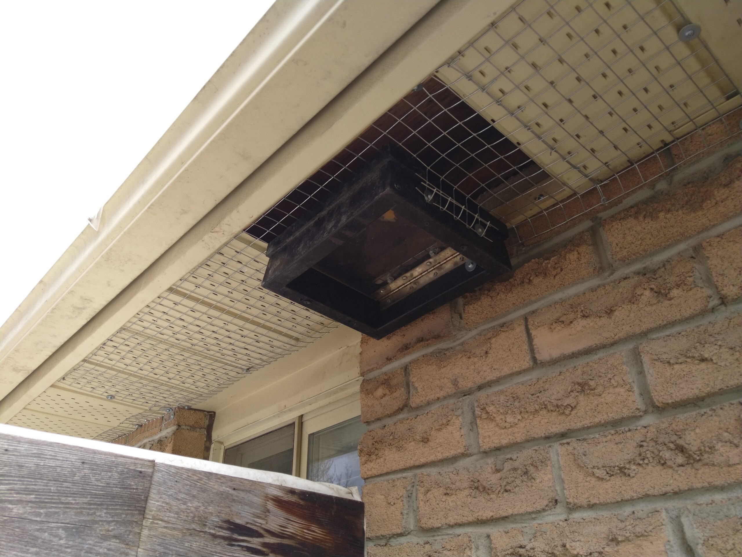 One-way doors allows for raccoons to exit without the ability to get back inside