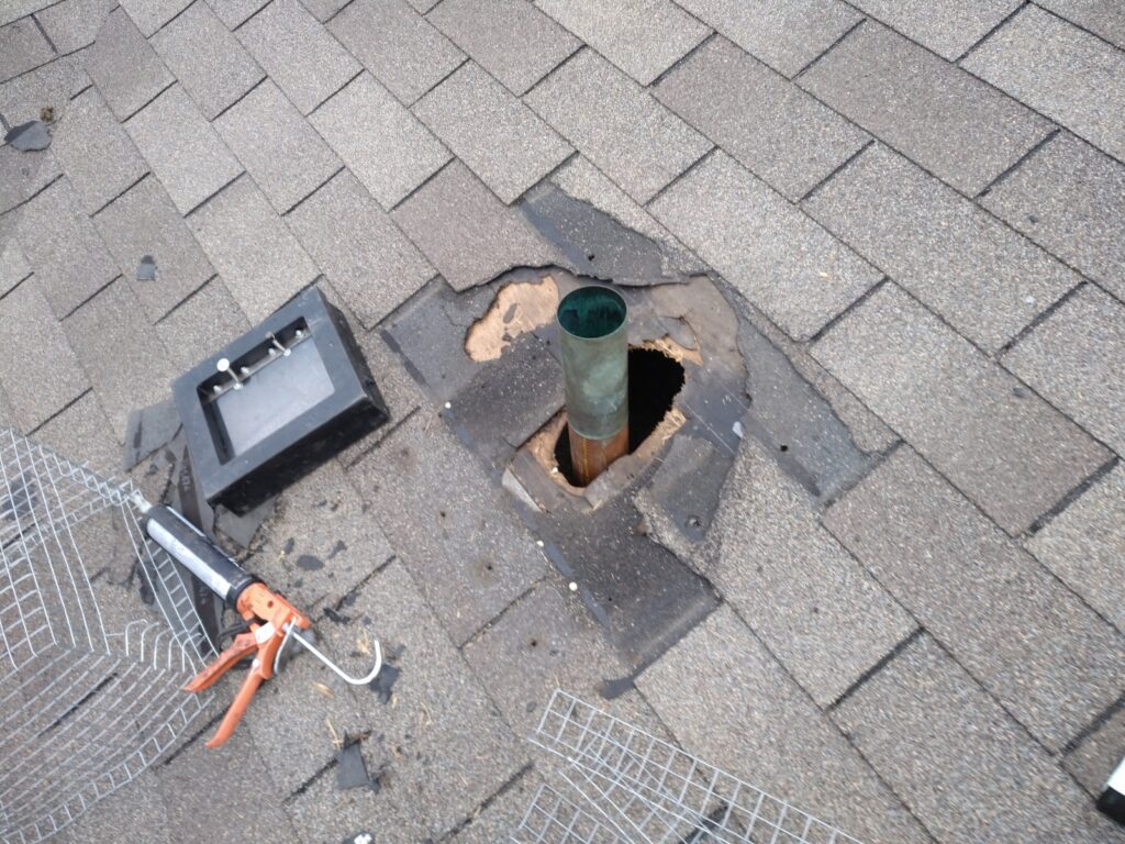 How Raccoons Get Into Houses? Skedaddle Wildlife Control