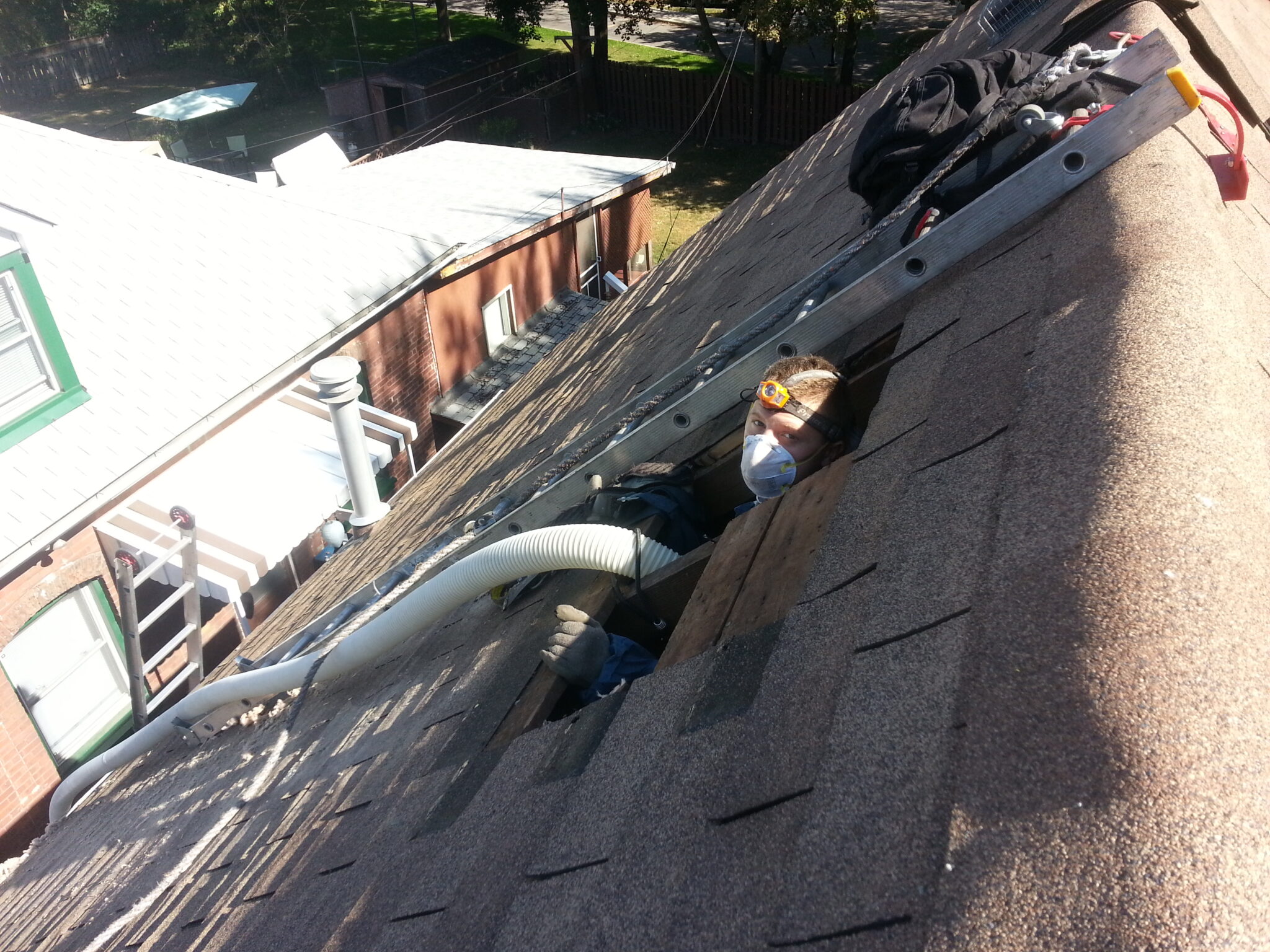 How to safely clean a raccoon latrine?