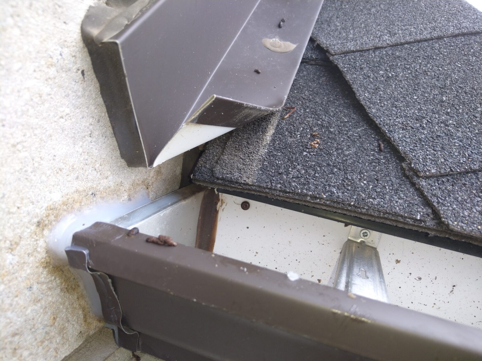 Why Are Bats Dangerous?