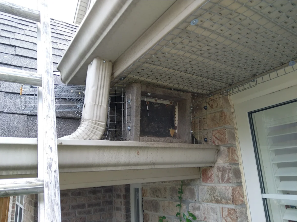 Why Do It Yourself Measures Don’t Work for Raccoon Removal