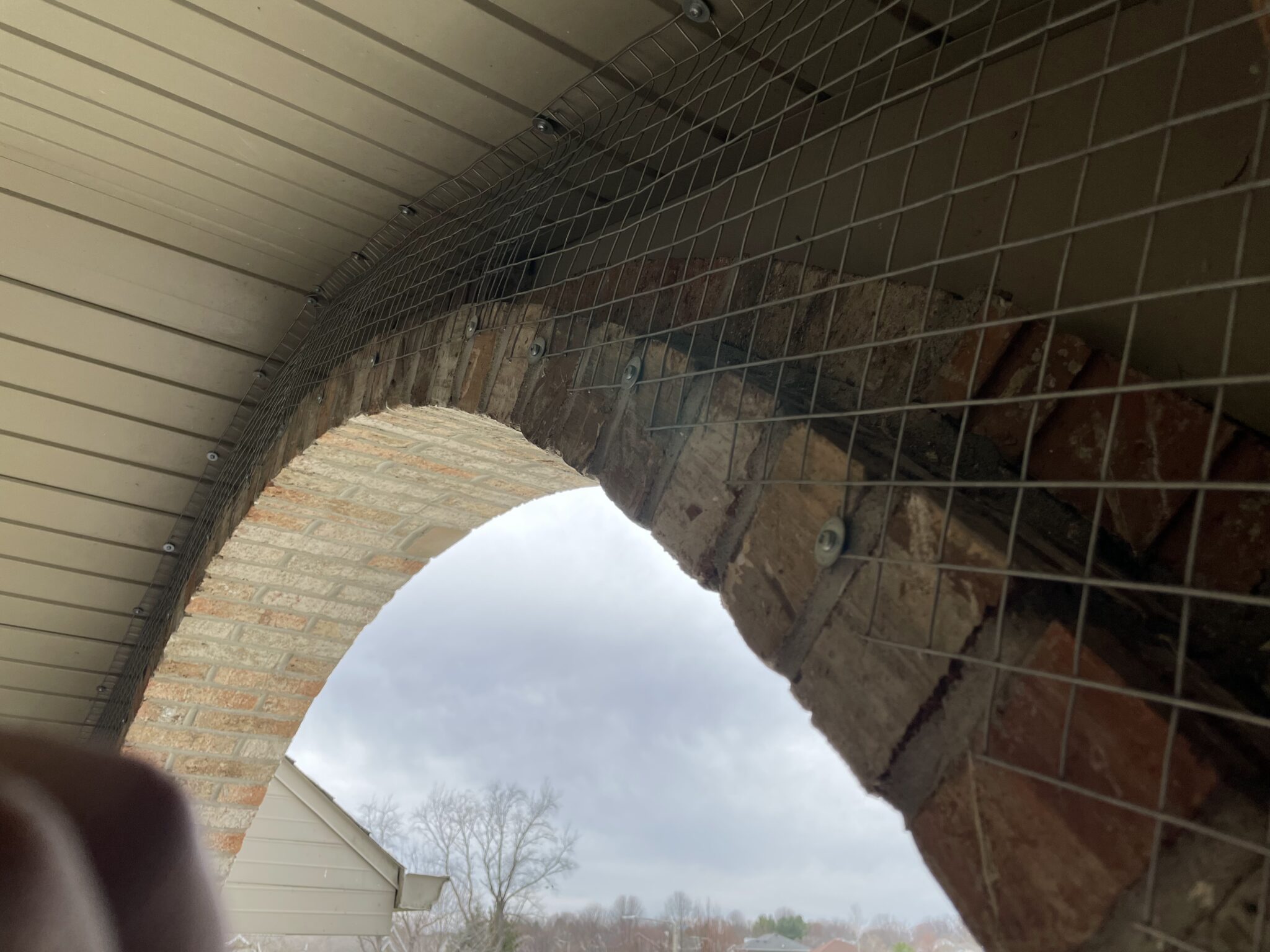 How to Keep Birds Off My Property